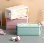 Bento Lunch Box for School Kids