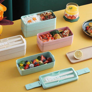 Bento Lunch Box for School Kids