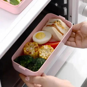 Bento Lunch Box for School Kids
