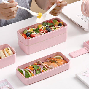 Bento Lunch Box for School Kids